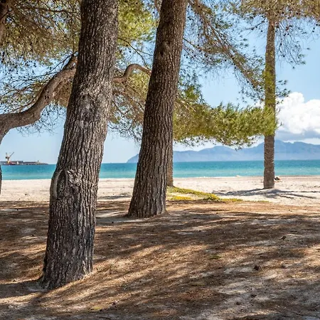 Mercuri Alcúdia